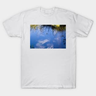 alb mirrored T-Shirt